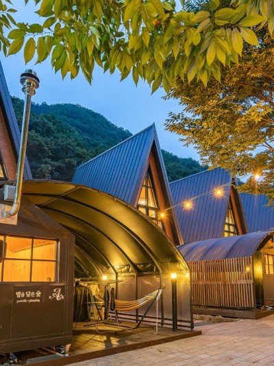 별을 담은 숲 (사북면)