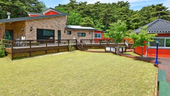 솔향 대표 이미지